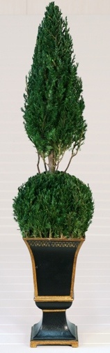 Preserved Ball Cone Topiary 30 inch in Juniper Foliage